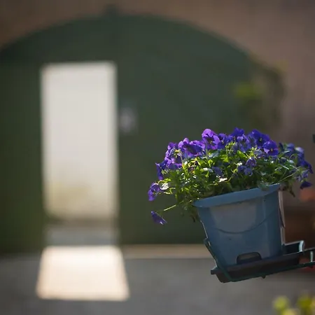 Apartamento Le Clos Des Sternes